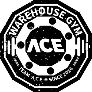 ace warehouse gym